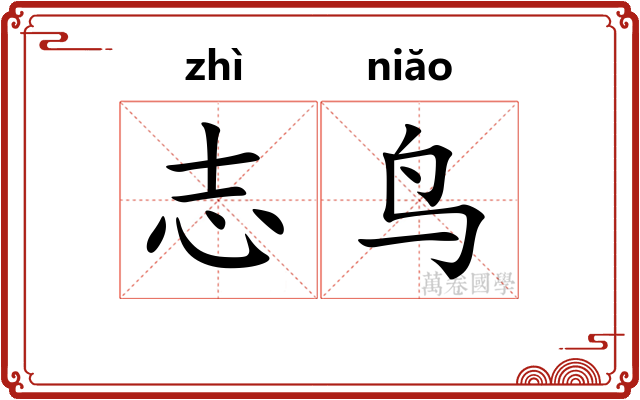 志鸟