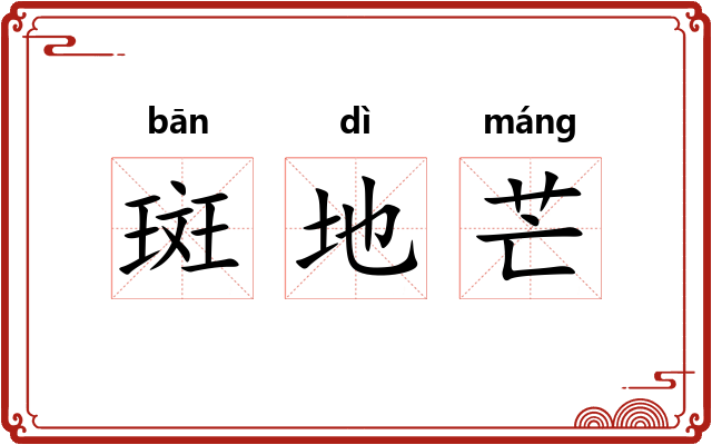 斑地芒 斑地芒