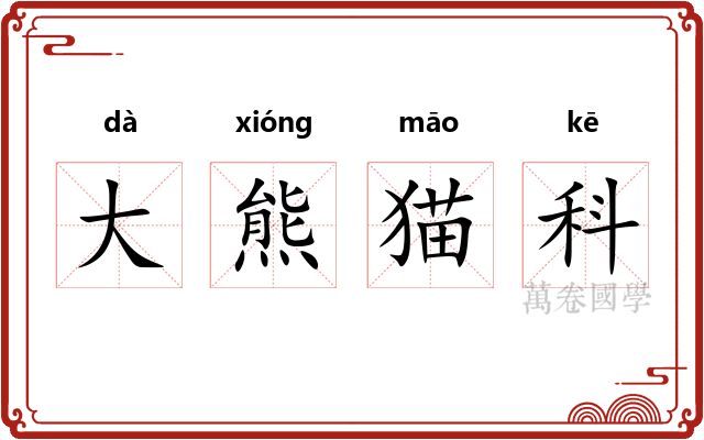 大熊猫科 大熊猫科