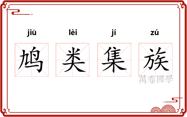 鸠类集族 鸠类集族