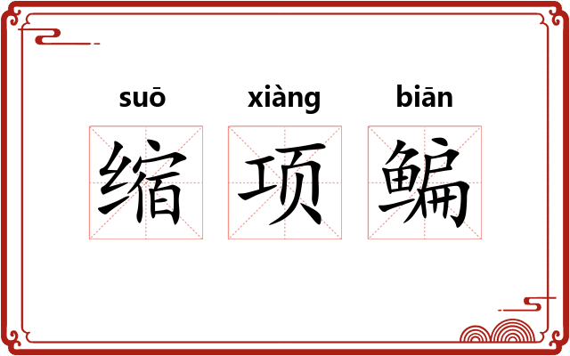 缩项鳊 缩项鳊