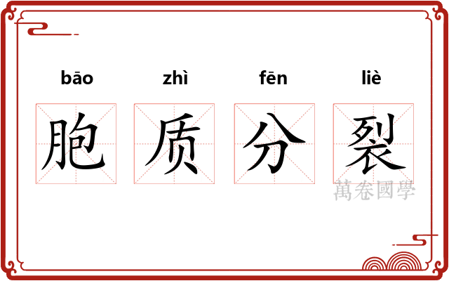 胞质分裂 胞质分裂