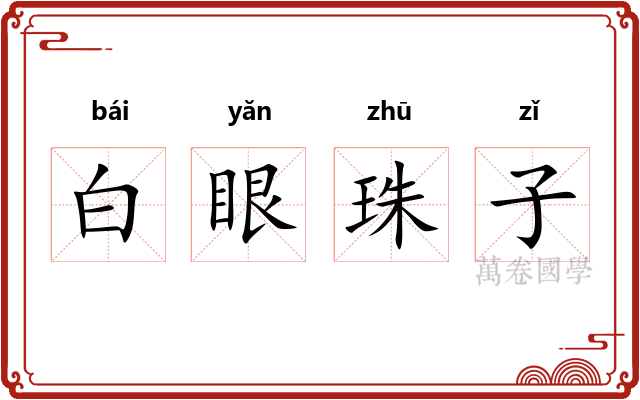 白眼珠子