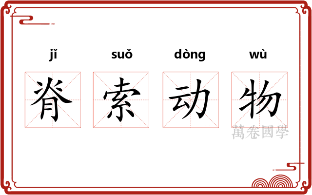 脊索动物 脊索动物