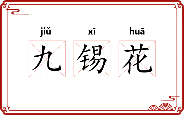 九锡花