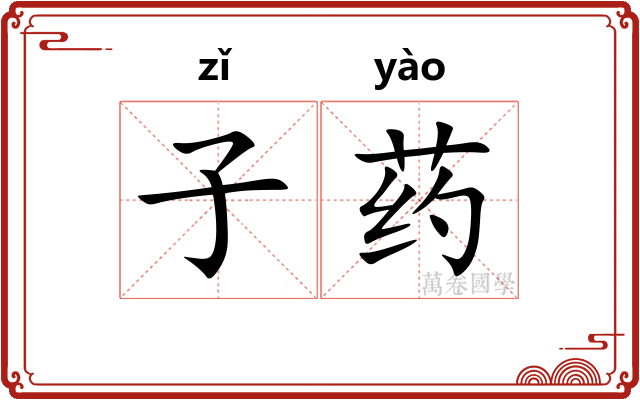 子药