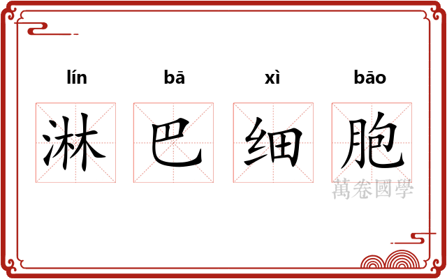 淋巴细胞 淋巴细胞