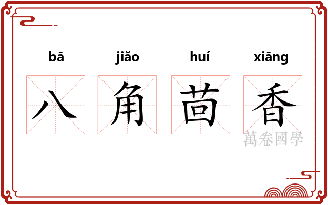 八角茴香 八角茴香