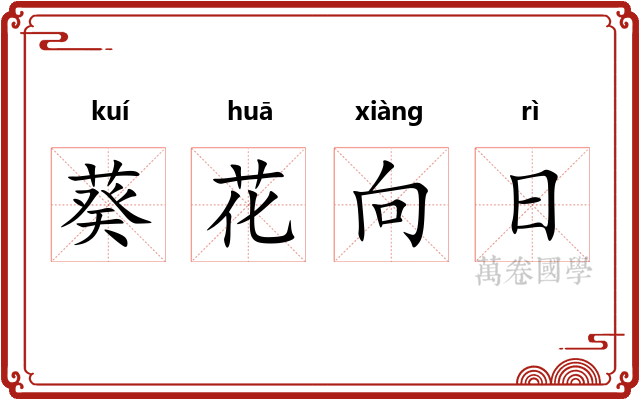 葵花向日