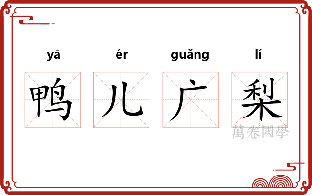 鸭儿广梨