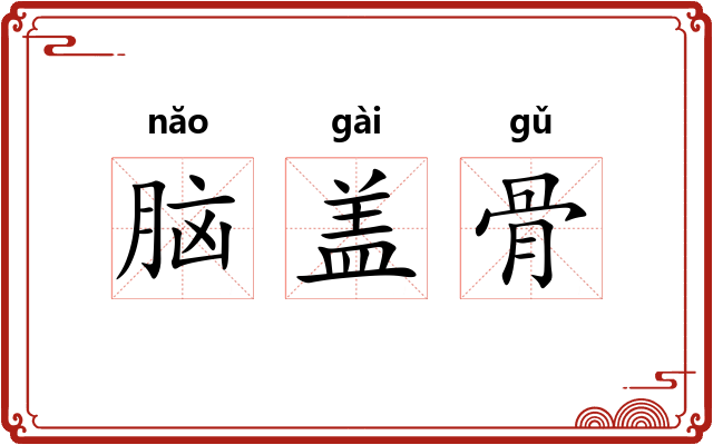 脑盖骨 脑盖骨