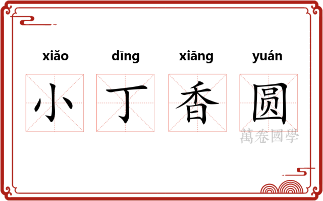 小丁香圆 小丁香圆