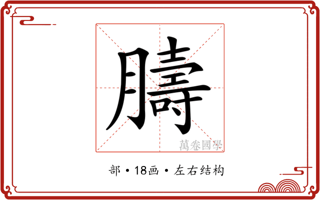𦡴 𦡴