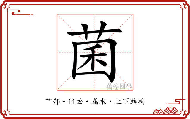 菌 菌