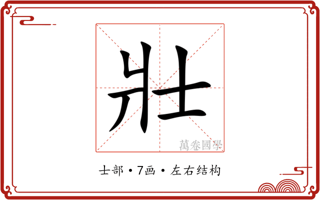 壯