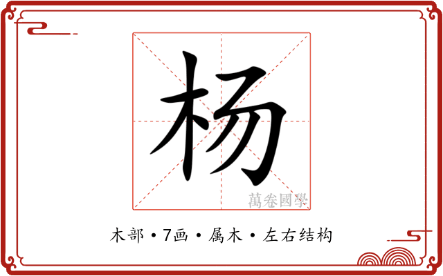 杨 杨
