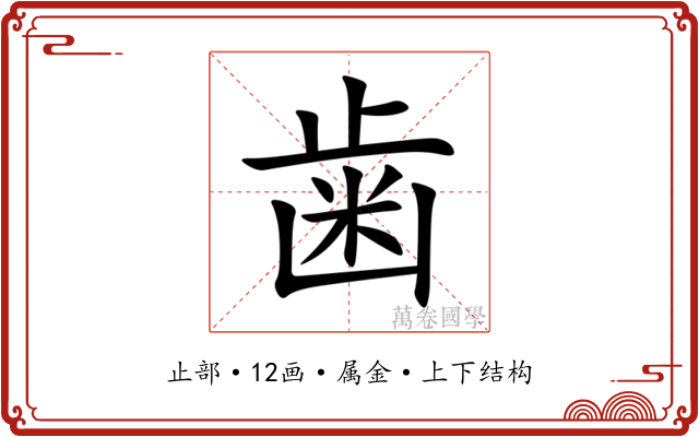 歯 歯