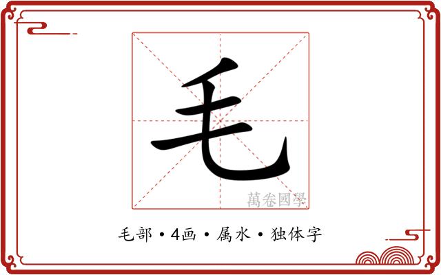 毛 毛