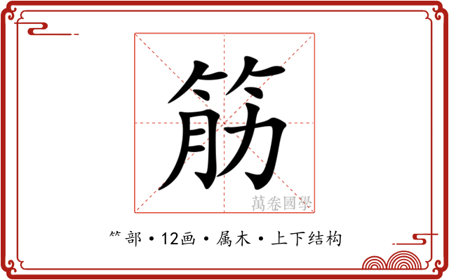 筋 筋