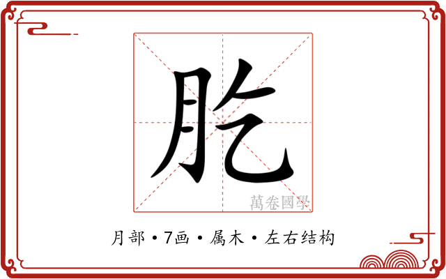 肐 肐