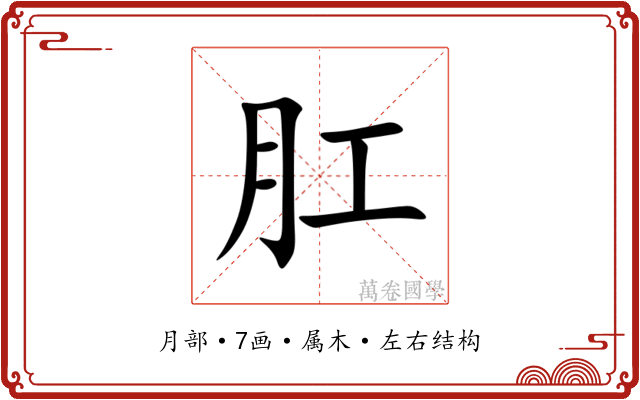 肛 肛