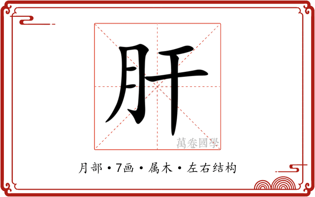 肝 肝
