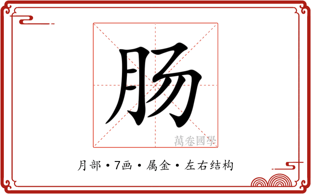肠 肠