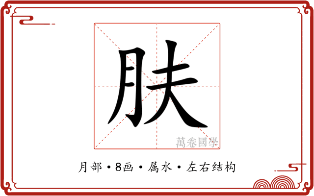 肤 肤