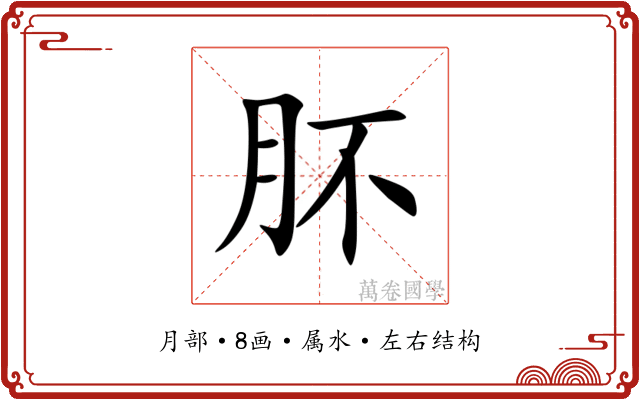 肧 肧