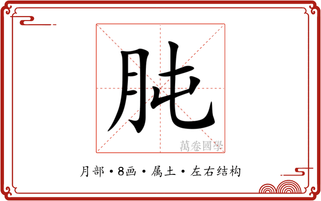 肫 肫