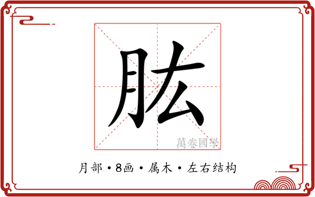 肱 肱