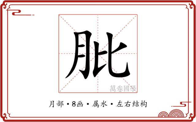肶 肶