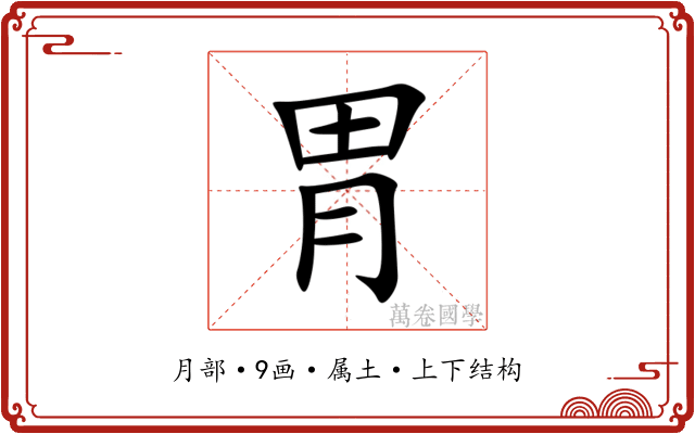 胃 胃