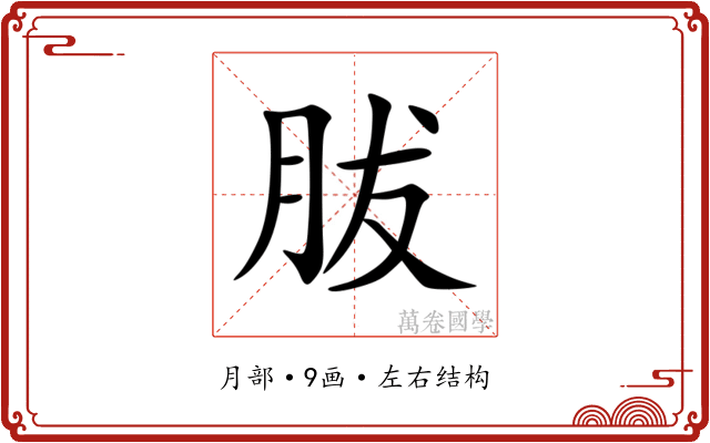胈 胈