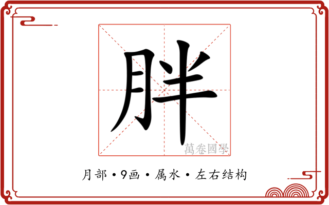 胖 胖