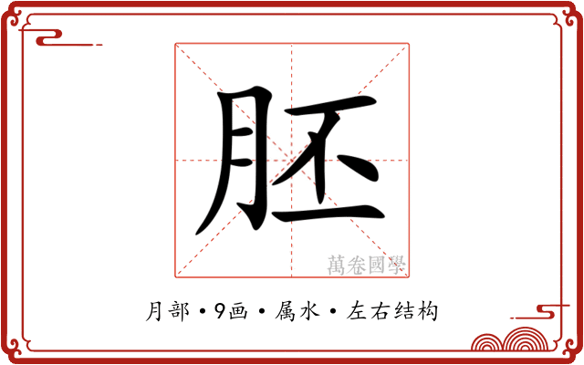 胚 胚