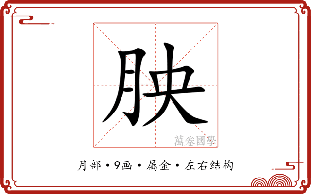 胦 胦