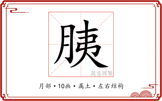 胰 胰