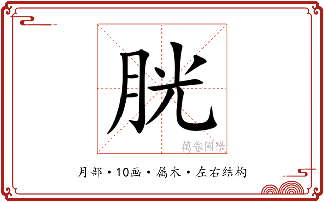 胱 胱