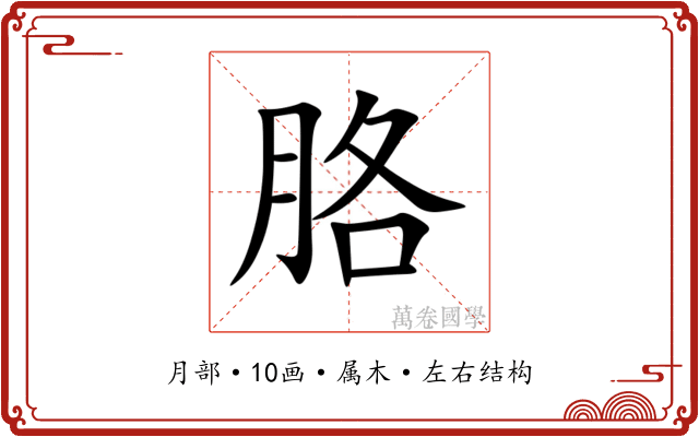 胳 胳
