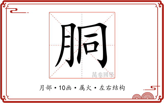 胴 胴