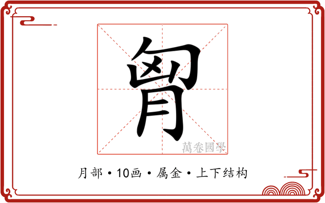 胷 胷