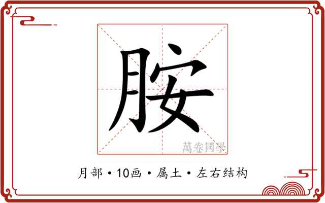 胺 胺