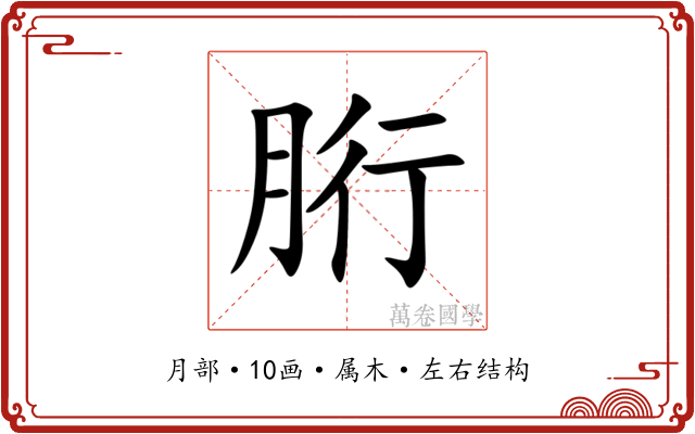 胻 胻