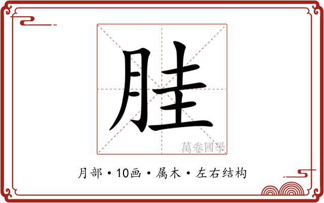 胿