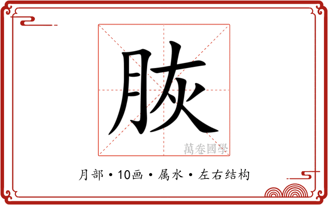 脄 脄