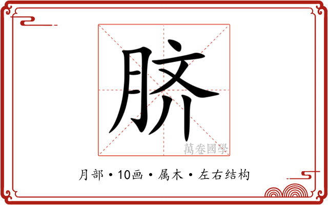 脐