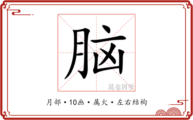 脑 脑
