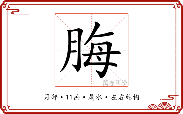 脢 脢