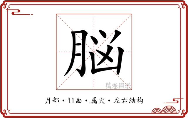 脳 脳